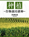 种植：作物栽培耕种