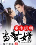重生唐朝当赘婿