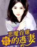 嚣张宝宝:恶魔首席的逃妻