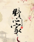 野心家