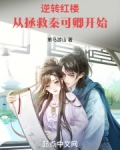 逆转红楼:从拯救秦可卿开始