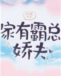 家有霸总娇夫（女尊）