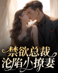 禁欲总裁沦陷小撩妻