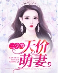 三少的天价萌妻