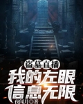 盗墓直播:我的左眼信息无限