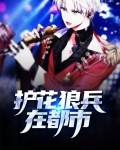 护花狼兵在都市