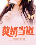 赘婿当道(又名:神都猛虎,主角:岳风)