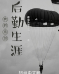 我的亮剑后勤生涯