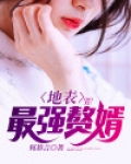 地表最强赘婿