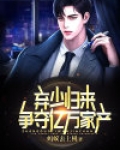 弃少归来，争夺亿万家产