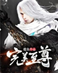 完美至尊
