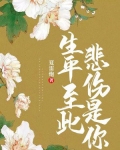生平至此，悲伤是你