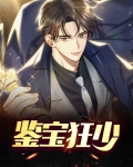 鉴宝狂少