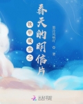 铁甲威虫之春天的明信片