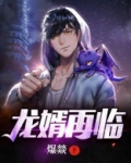 龙婿再临