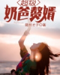 超级奶爸赘婿