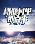 桃源村里那点事