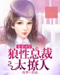 宠妻18岁:狼性总裁太撩人