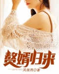 赘婿归来