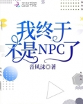 我终于不是NPC了