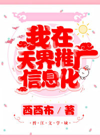 我在天界推广信息化