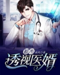 都市透视医婿