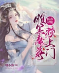 医毒双绝:腹黑魔尊赖上门