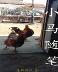 小马随笔