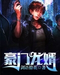 豪门龙婿