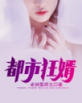 都市狂婿