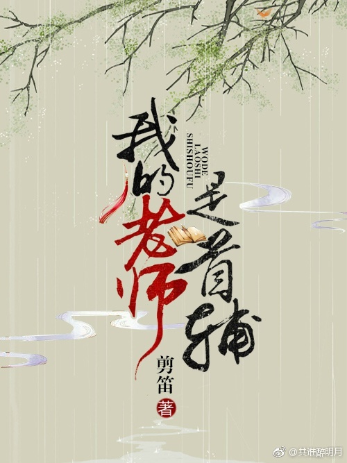 我的老师是首辅