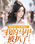 被首富全家团宠后,我的马甲被扒了
