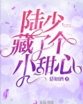 陆少藏了个小甜心