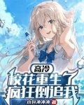 高冷校花重生了，疯狂倒追我