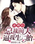 离婚后,总裁前夫逼我生二胎