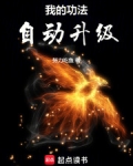我的功法自动升级