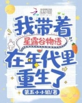 我带着星露谷物语在年代里重生了