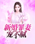 新婚罪妻宠不腻