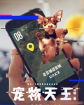 宠物天王