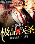 都市极品小医圣