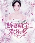 娇妻萌宝欢乐多