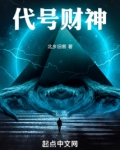 代号财神