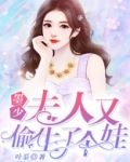 墨少，夫人又偷生了个娃！
