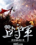 最强上将军