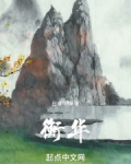 衡华