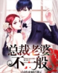 总裁老婆不一般