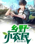 乡野小农民