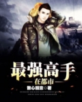 最强高手在都市