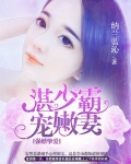 强婚挚爱,首长霸宠嫩妻