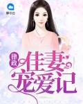 律政佳妻宠爱记